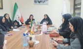 نشست هماندیشی درخصوص هم افزایی ظرفیتهای استان کرمان