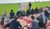 دستیابی به پتانسیل عملکرد گندم