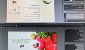 ارائه فناوری‌های نوین تولید فرآورده‌های فراسودمند انار در وبینار علمی پژوهشکده مرکبات و میوه‌های نیمه‌گرمسیری