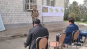روز انتقال یافته‌ها با محوریت زراعت چوب در دهلران برگزار شد