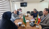 هم‌افزایی برای خودکفایی بذری؛ نشست هماهنگی تولید بذر نخود در استان برگزار شد