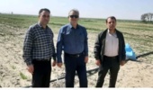 بازدید دکتر محسن سیلسپور، رئیس مرکز از پروژه هایPNT ( پروژه های طرح تحقیقاتی مشارکتی تغذیه گیاه گندم در ایستگاه تحقیقاتی خاوه )