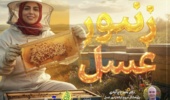 استارت بهاره زنبورعسل از دمای ۱۵ درجه آغاز شود/ تغذیه تحریکی و مدیریت بیماری‌ها کلید موفقیت زنبورداری در بهار