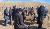 برگزاری دوره آموزشی مدیریت جوان‌سازی درختان میوه در روستای نقوسان شهرستان تفرش