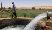 لزوم بازنگری در نظام حکمرانی آب بخش کشاورزی برای عبور از بحران کم‌آبی و تضمین امنیت غذایی کشور
