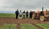 بررسی فعالیت‌های پژوهشی و تولیدی در ایستگاه تحقیقات کشاورزی ماهیدشت
