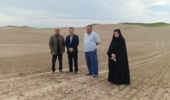 بازدید میدانی محققین مرکز تحقیقات و آموزش کشاورزی گلستان از مزارع زیره سبز در شهرستان گنبد