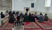 مدیریت تلفیقی بیماری‌های گندم از زمان کاشت تا برداشت گندم