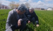 بازدید سرپرست مرکز از مزارع تولید بذر پردیس تحقیقات و آموزش لوبیای خمین