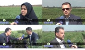 عیدی محققان مرکز تحقیقات و آموزش کشاورزی گلستان به کشاورزان در شرایط حساس جنگی