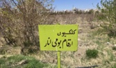 کلکسیون انارهای ایرانی