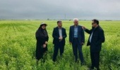 روشنی رئیس مرکز تحقیقات کشاورزی گلستان در بازدید از فعالیت های سربازان گمنام امنیت غذایی ایستگاه تحقیقات کشاورزی گنبد