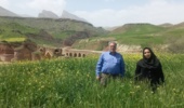 مزارع گندم و جو استان زیر ذره‌بین گیاهپزشکان مرکز تات لرستان