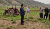 روز مزرعه ایلام؛ گامی عملی برای آشنایی کشاورزان با ارقام جدید