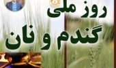 پیام رئیس مؤسسه تحقیقات اصلاح و تهیه نهال و بذر به مناسبت فرارسیدن روز ملی گندم و نان