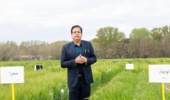 آغاز کراسهای برنامه های به نژادی جو آبی در موسسه تحقیقات اصلاح و تهیه نهال و بذر؛ اولین گام در مسیر تولید ارقام جدید