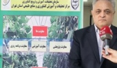 ایجاد مزارع الگویی در استان تهران با هدف انتقال دانش فنی، ارتقای بهره‌وری و افزایش تولید آغاز شد.