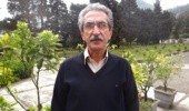 راهکارهای علمی کاهش ریزش گل و میوه در مرکبات