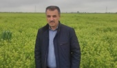 کشت ۷ هزار هکتاری «کاملینا» در اراضی شور گلستان/ ایستگاه تحقیقاتی گنبد به قطب تولید بذر کشور تبدیل شود
