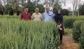 بازدید میدانی رئیس مرکز تحقیقات کشاورزی استان کرمان از ایستگاه تحقیقاتی شهید زندهروح (جوپار)