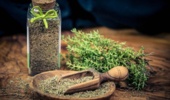 اهلی سازی چهار گیاه دارویی در استان خراسان شمالی