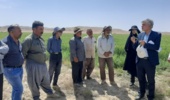 کارگاه آموزشی و بازدید میدانی در سرخه با تمرکز بر طرح پتانسیلیابی گندم