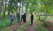 پتانسیل‌های نهفته در شلمان
