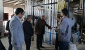تولید انواع واکسن های طیور در شعبه مرند/ قدردانی از نقش موثر کارکنان و محققان موسسه رازی در کاهش واردات واکسن