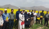 برگزاری روز مزرعه کلزا در روستای ایجان شهرستان خنداب با تاکید بر مصرف بهینه آب