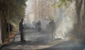 بهسازی معابر موسسه رازی؛ 6 هزار و 200 مترمربع آسفالت‌ریزی شد