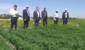 بازدید رئیس مؤسسه تحقیقات اصلاح و تهیه نهال و بذر از ایستگاه تحقیقات کشاورزی طرق مشهد