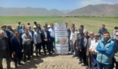 برگزاری رویداد ترویجی–آموزشی «پتانسیل عملکرد با رویکرد اصلاح الگوی کشت» با تاکید بر گندم و چغندرقند