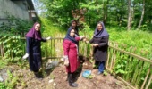 ایستاده‌ایم چون سرو