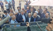 برداشت محصول ماهی آزاد بومی از قفسهای دریای خزر در مازندران