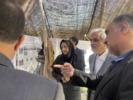 بازدید رئیس مؤسسه تحقیقات جنگلها و مراتع کشور از غرفه تخصصی مرکز تحقیقات و آموزش کشاورزی و منابع طبیعی استان سمنان