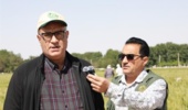 خودکفایی کامل در تولید بذر گندم و جو/ صرفهجویی ارزی یک میلیارد دلاری با اتکاء به تحقیقات داخلی