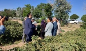 بازدید معاون سازمان تات؛ از توسعه کشت گلمحمدی تا توانمندسازی زنان روستایی