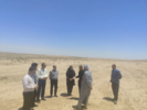 تحول در صنعت دامپروری ایلام با دانشبنیان کردن پرورش شتر در دهلران