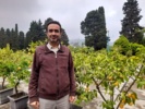 توصیههای فنی عضو هیات علمی پژوهشکده مرکبات و میوههای نیمهگرمسیری برای کنترل شته های مرکبات در نهالستان های شمال کشور