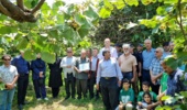 محتوای غنی از بیماریها تا تغذیه گیاهی