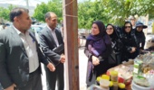 بازدید مدیرکل دفتر توسعه فعالیتهای کشاورزی زنان روستایی از طرح‌های نوآورانه در ایلام