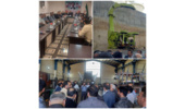 رونمایی از دستگاه سرشاخه‌زن نیشکر ساخت داخل در دزفول
