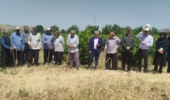 برگزاری رویداد آموزشی - ترویجی روز مزرعه با حضور محققین در شهرستان خرم‌آباد
