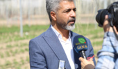 تهران- ایانا- بذرهای سبزی و صیفی پیش از ورود به مزارع از فیلتر ارزیابی دوساله عبور می‌کنند