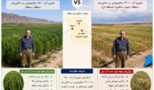 گزارش نهایی طرح تحقیقاتی اثر کیفیت آب آبیاری بر تولید علوفه غلات پاییزه در استان سمنان منتشر شد