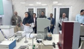 از شناسایی تا کنترل؛ جدیدترین راهکارهای مدیریت سن گندم بررسی شد