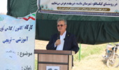 رونمایی از نخستین مزرعه الگویی کشت پنبه در خراسان شمالی