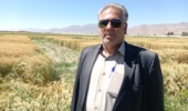 تحقیقات کشاورزی موتور محرک نوآوری و پایداری تولید در بخش کشاورزی
