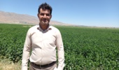 تحقیقات هدفمند، پشتوانه ورود ارقام جدید و افزایش تولید بذر در لرستان