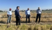 بازدید رئیس پژوهشکده کشاورزی هستهای از پروژه مشترک بهنژادی زیره سبز در مؤسسه تحقیقات اصلاح و تهیه نهال و بذر